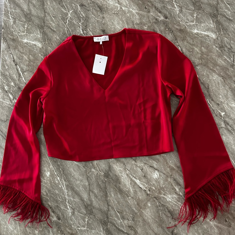 Wayf Red Feathered Long Sleeve Crop Top